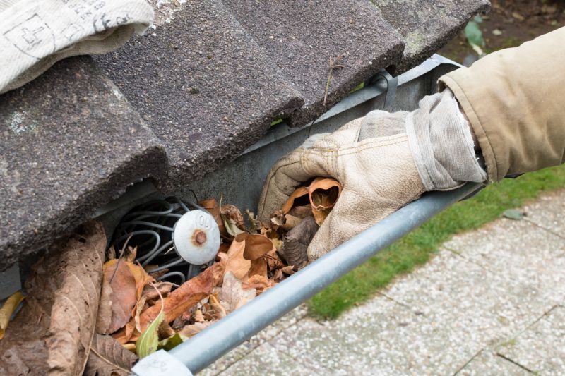 Debris-Free Gutters