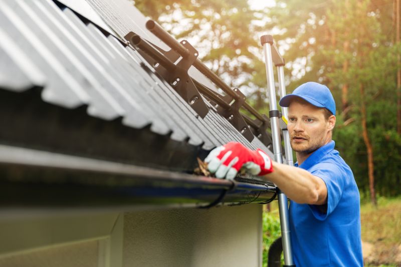 Local Gutter Service Experts